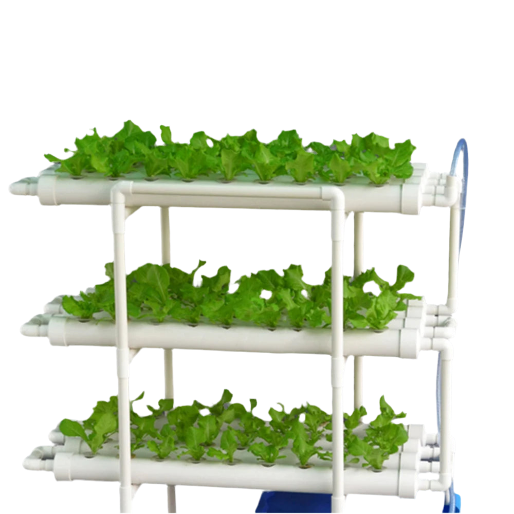 Hydroponic Grow Kit