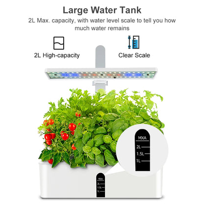 Hydroponics Growing System
