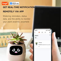 Vaso Smart – Il Vaso Intelligente che si Prende Cura delle Tue Piante (e Ti Fa Sorridere!)