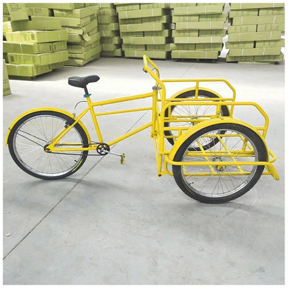 Cargo bike tricycle single speed