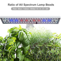 Hydroponics Growing System 