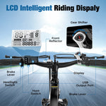 Bicicletta Elettrica 26”