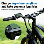 Bicicletta Elettrica 26”