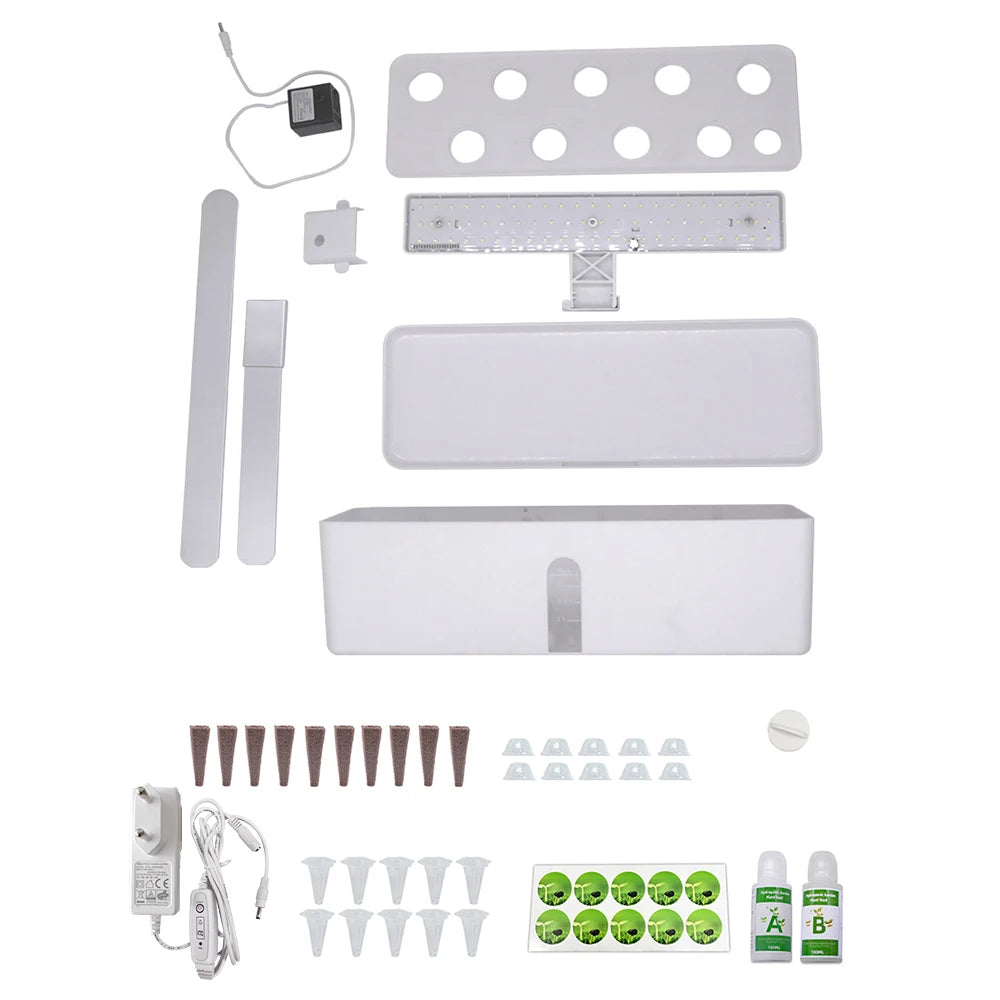 Hydroponics Growing System 