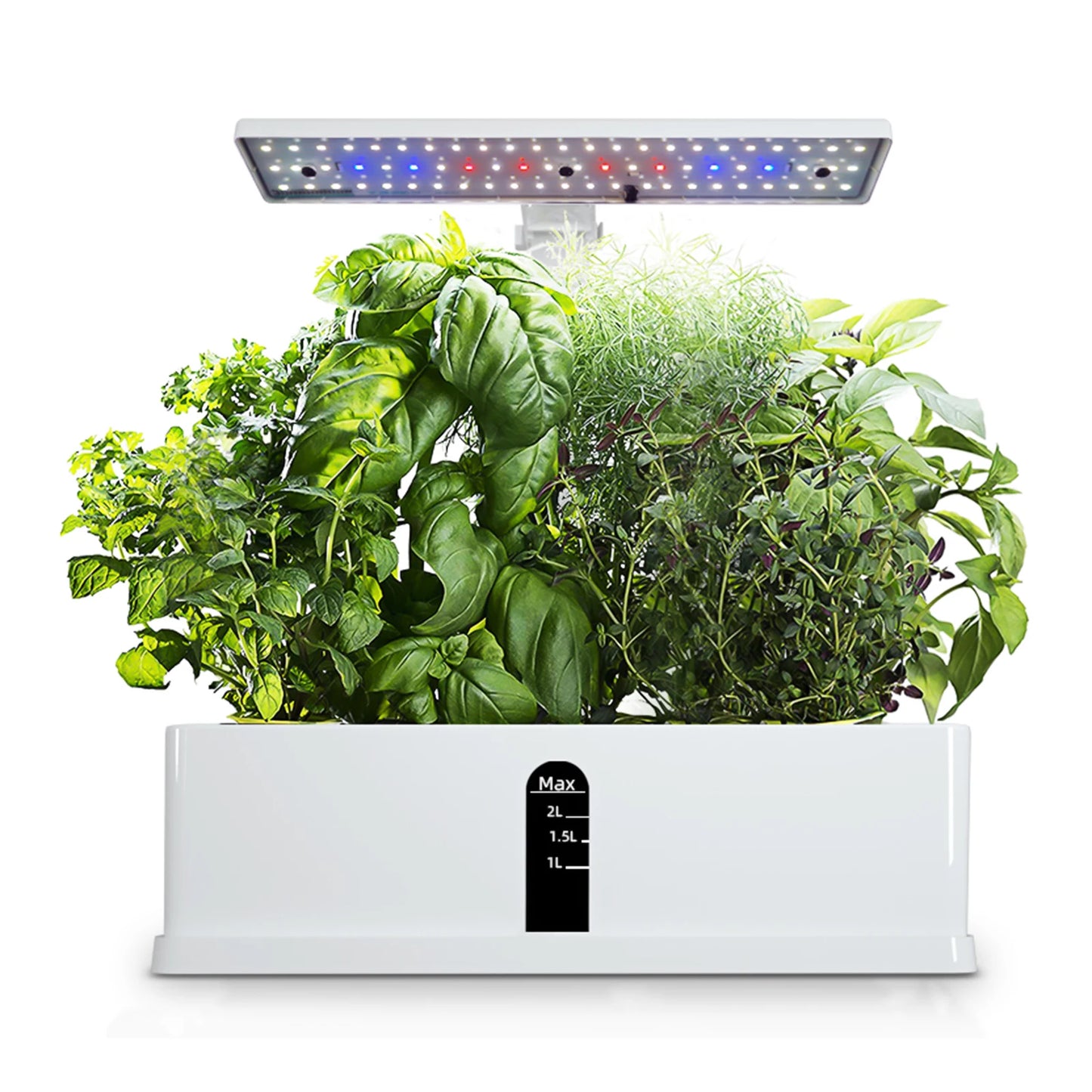 Hydroponics Growing System 