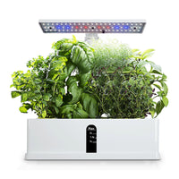 Hydroponics Growing System 