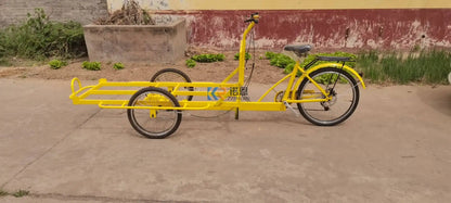 Electric Cargo Bike