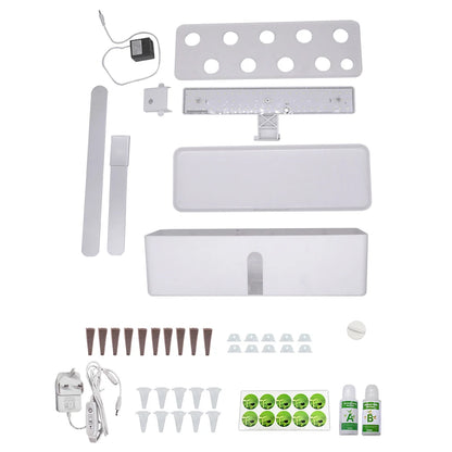 Hydroponics Growing System