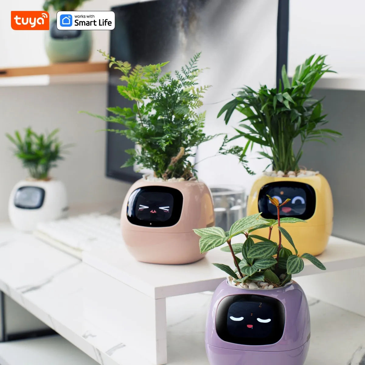 Vaso Smart – Il Vaso Intelligente che si Prende Cura delle Tue Piante (e Ti Fa Sorridere!)