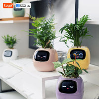 Vaso Smart – Il Vaso Intelligente che si Prende Cura delle Tue Piante (e Ti Fa Sorridere!)