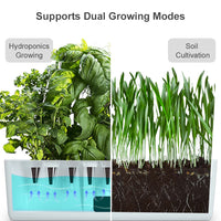 Hydroponics Growing System 