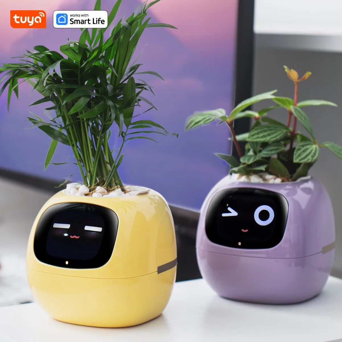 Vaso Smart – Il Vaso Intelligente che si Prende Cura delle Tue Piante (e Ti Fa Sorridere!)