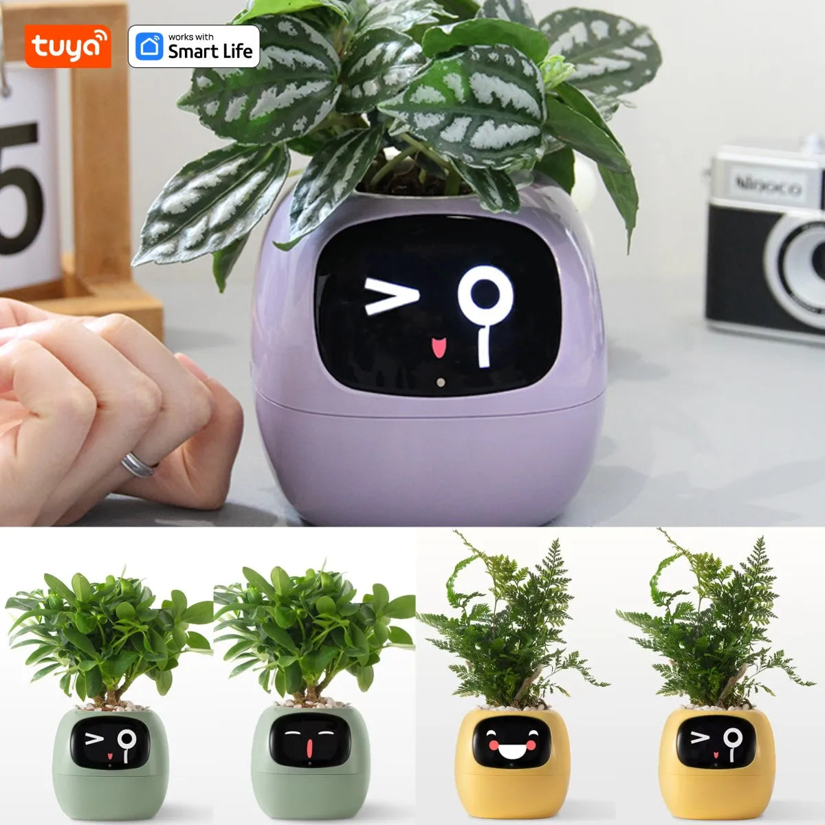 Vaso Smart – Il Vaso Intelligente che si Prende Cura delle Tue Piante (e Ti Fa Sorridere!)