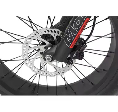 Folding E-bike
