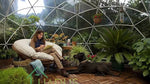 Transparent Bubble Dome Tent 3.6m Diameter