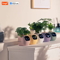 Vaso Smart – Il Vaso Intelligente che si Prende Cura delle Tue Piante (e Ti Fa Sorridere!)