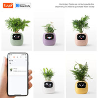 Vaso Smart – Il Vaso Intelligente che si Prende Cura delle Tue Piante (e Ti Fa Sorridere!)