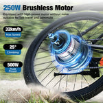 Bicicletta Elettrica 26”