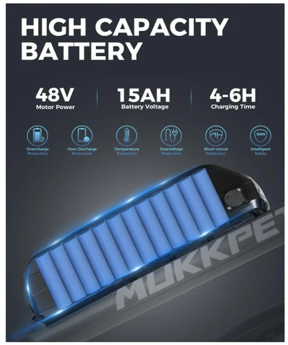 Electric City E bike