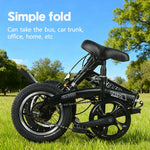 Bicicletta pieghevole