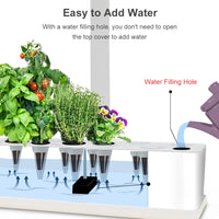 Hydroponics Growing System 