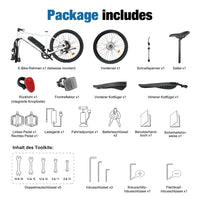 Bicicletta Elettrica 26”