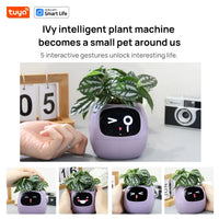 Vaso Smart – Il Vaso Intelligente che si Prende Cura delle Tue Piante (e Ti Fa Sorridere!)