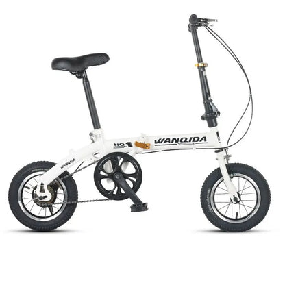 Bicicletta pieghevole