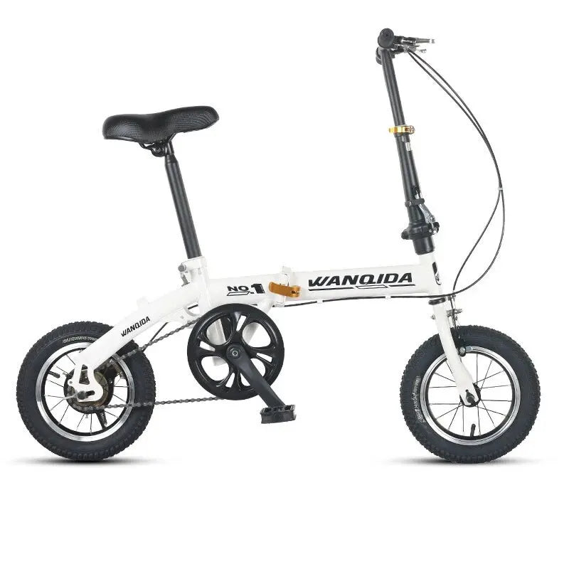 Bicicletta pieghevole
