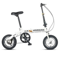 Bicicletta pieghevole