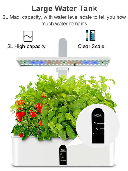 Hydroponics Growing System