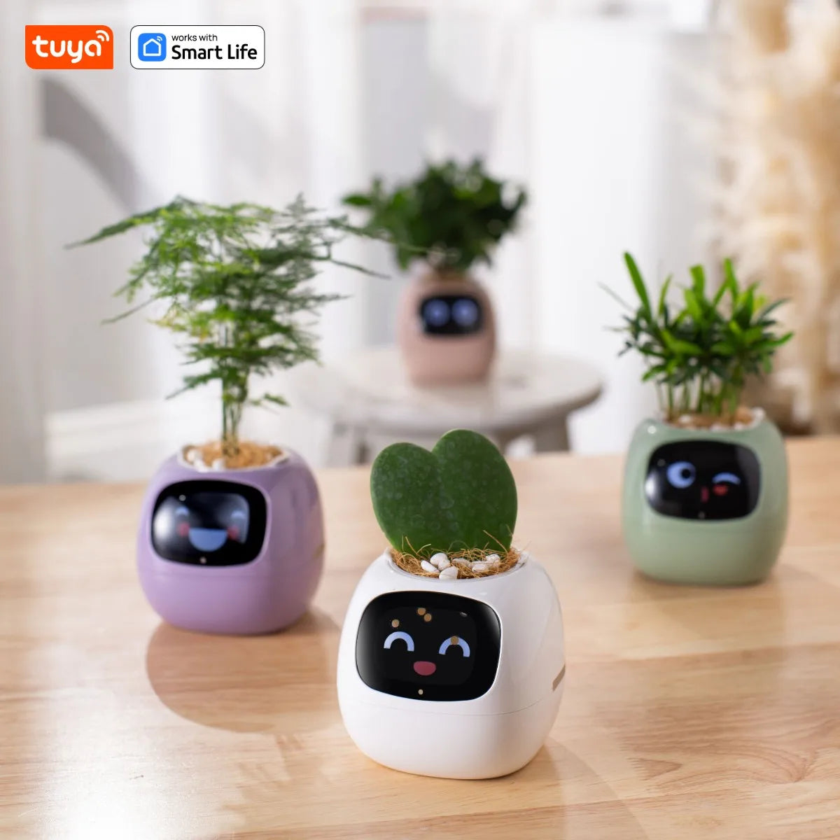 Vaso Smart – Il Vaso Intelligente che si Prende Cura delle Tue Piante (e Ti Fa Sorridere!)