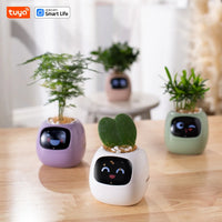 Vaso Smart – Il Vaso Intelligente che si Prende Cura delle Tue Piante (e Ti Fa Sorridere!)