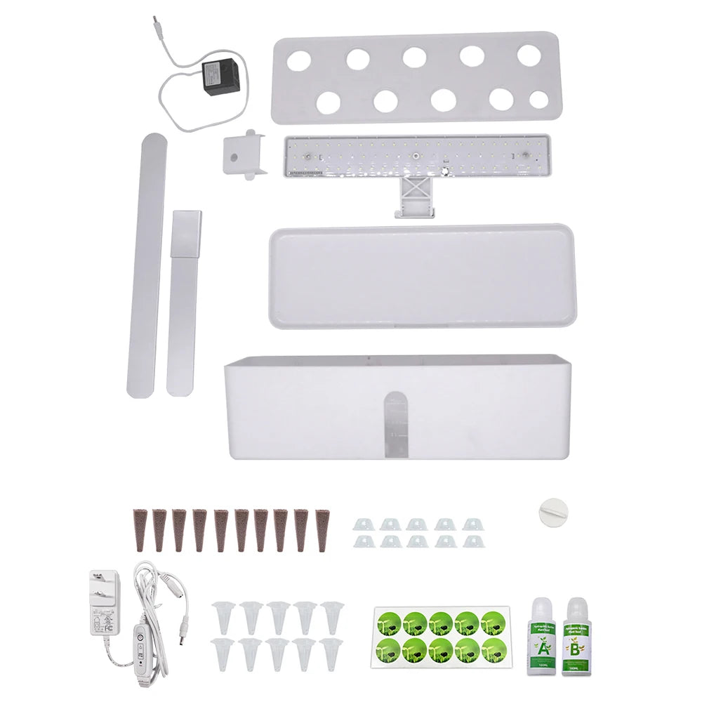 Hydroponics Growing System 