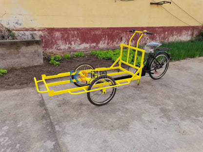 Electric Cargo Bike